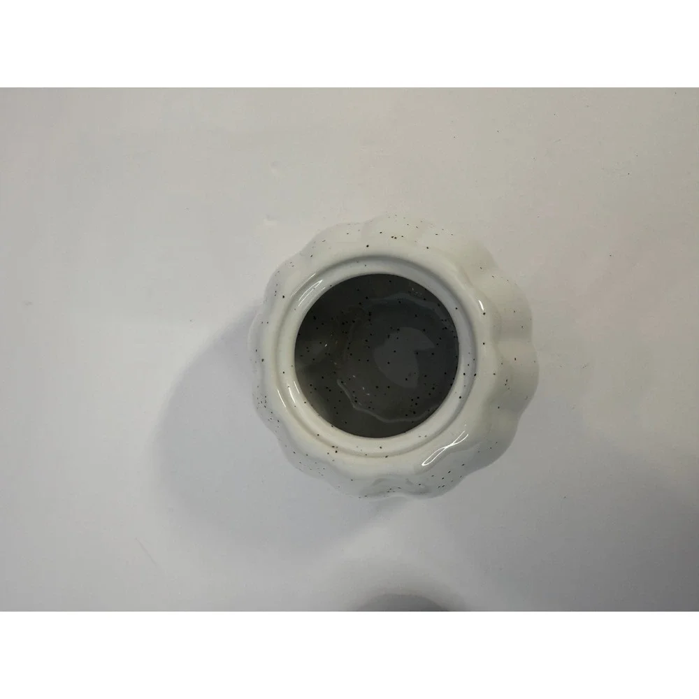 10SS Artisan Collection Speckled White Pumpkin Stoneware Lidded Jar Fall Decor